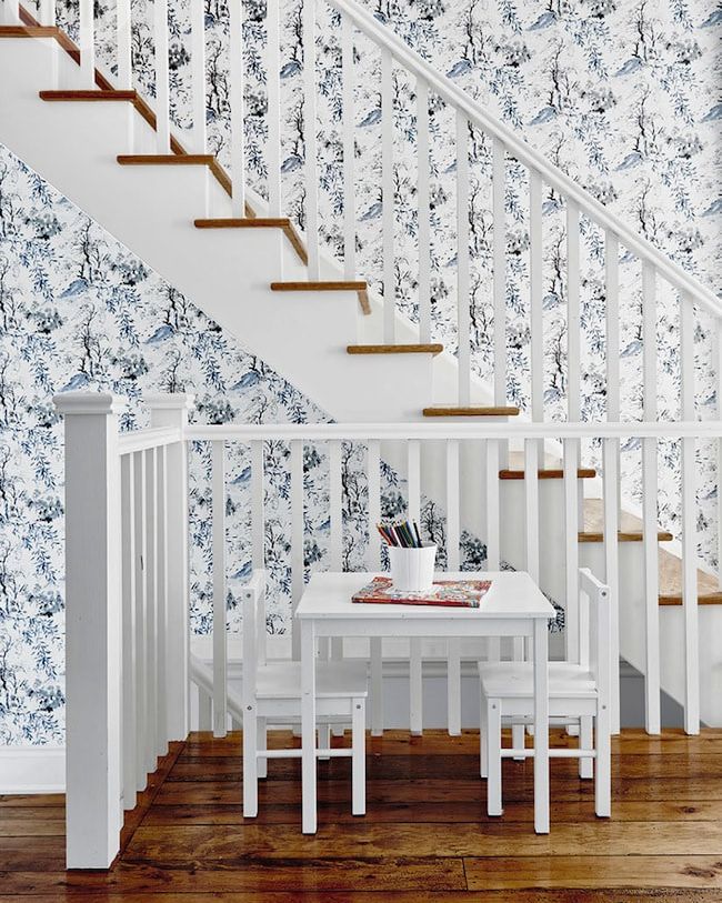 Go Wild With Wallpaper